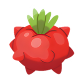 Pokestar - Tamato Berry in Legends: Z-A